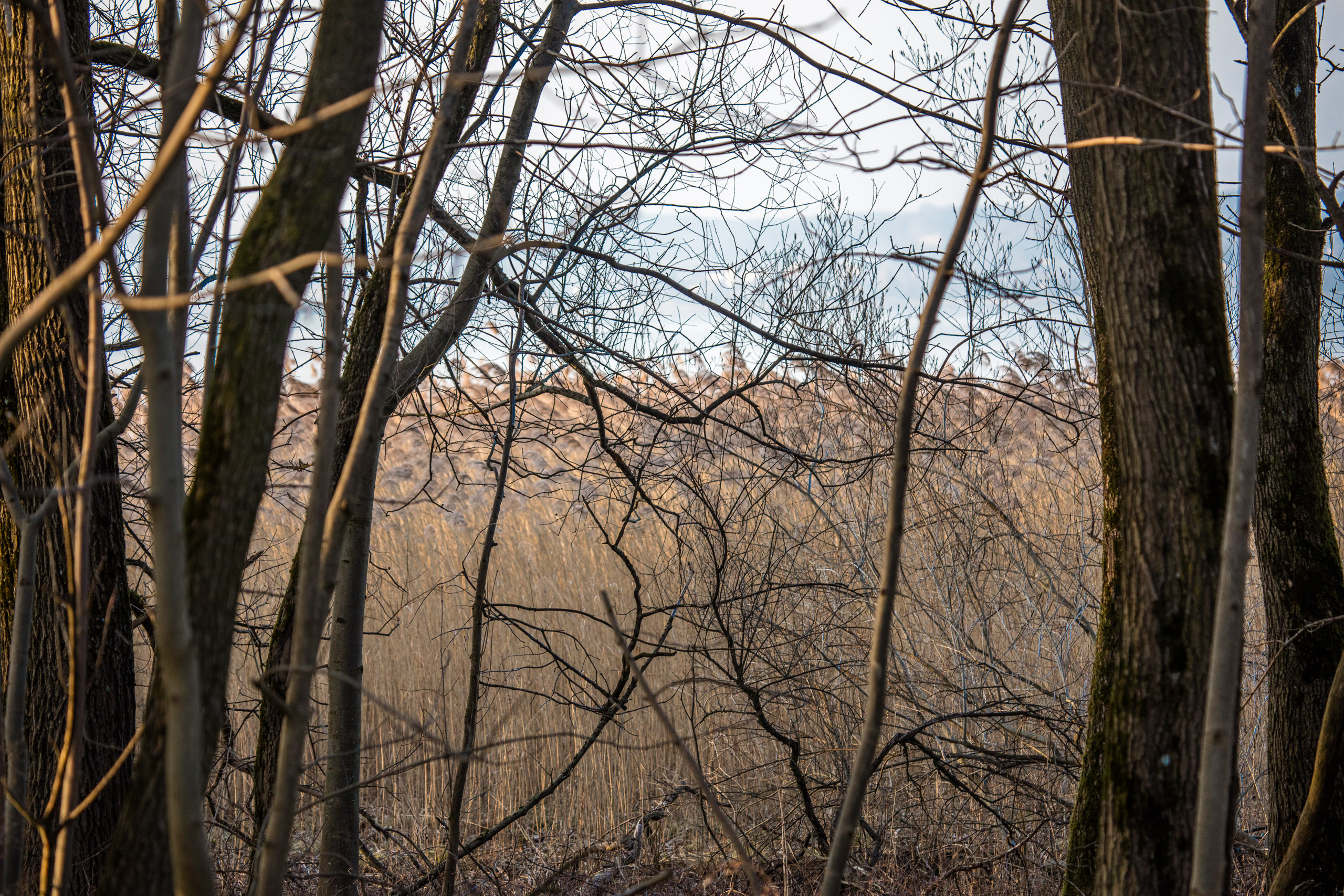 20160319173634 DP017819